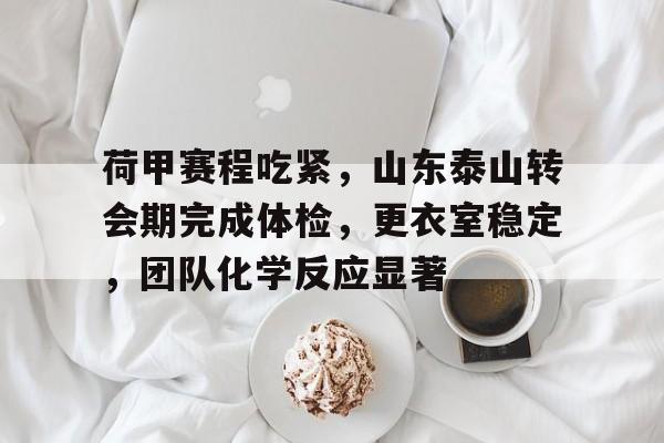 荷甲赛程吃紧，山东泰山转会期完成体检，更衣室稳定，团队化学反应显著的简单介绍-开云